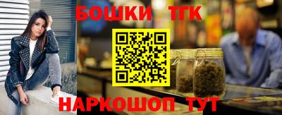 тгк Бийск