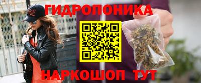 тгк Бийск