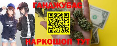 тгк Бийск