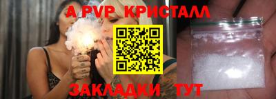 тгк Бийск
