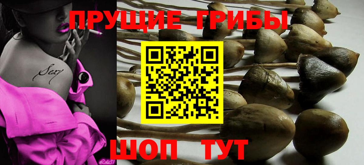 купить   Галлюциногенные грибы ЛСД  Вход с VPN  Кировск 